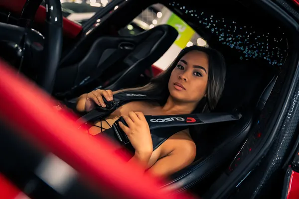 Editorial — interior harness